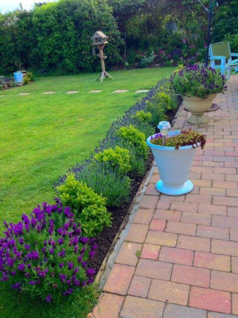 Bed and Breakfast Hillcliffe House Fairlight Exteriér fotografie